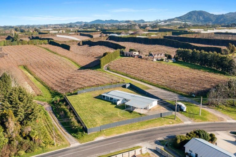 Photo of property in 42 Macloughlin Drive, Te Puke, 3119