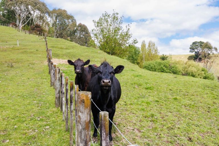 Photo of property in 39 County Heights Drive, Aokautere, Palmerston North, 4471