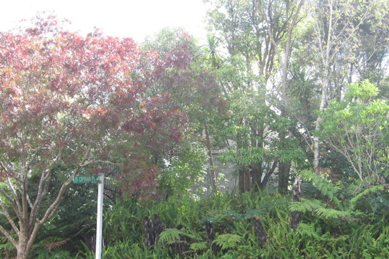 Photo of property in 26 Takapu Street, Henderson, Auckland, 0612