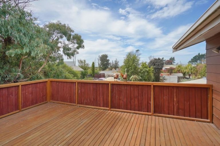 Photo of property in 54 Grierson Avenue, Amberley, 7481