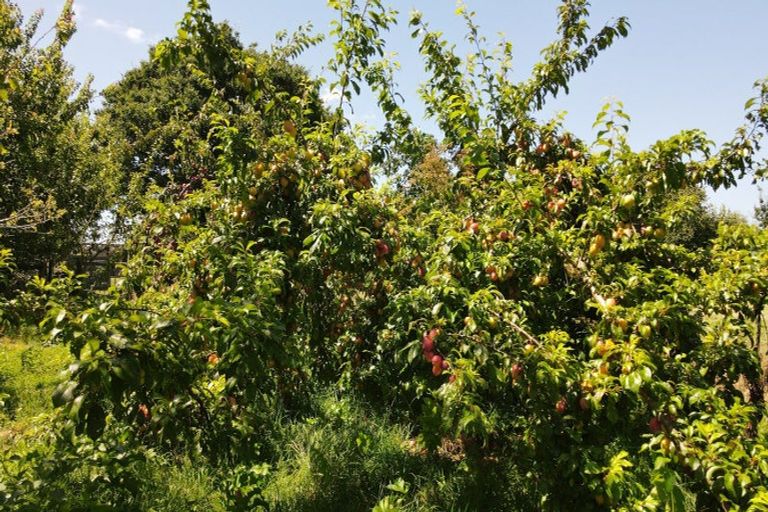 Photo of property in 271 Mystery Creek Road, Ohaupo, 3881