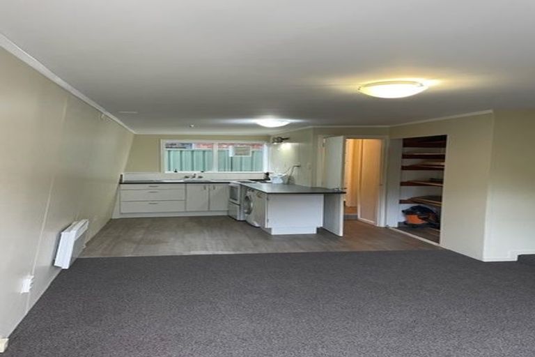 Photo of property in 27 Mccoll Street, Vogeltown, Wellington, 6021
