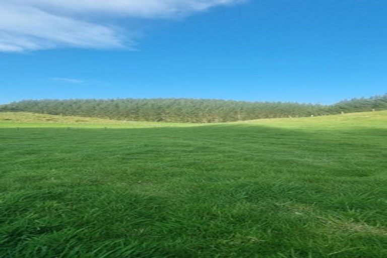 Photo of property in 2877 State Highway 30, Rotoma, Whakatane, 3192