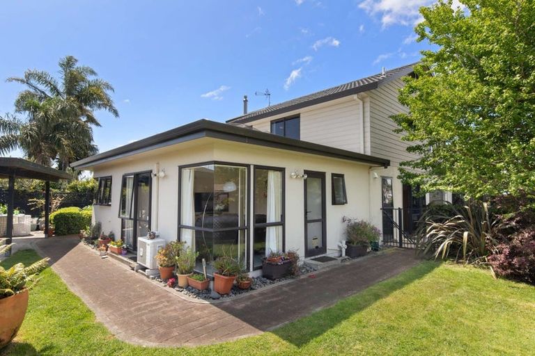 Photo of property in 11 Bayfair Drive, Mount Maunganui, 3116