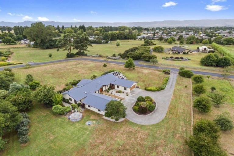 Photo of property in 48 Everad Avenue, Matamata, 3472