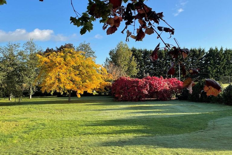 Photo of property in 3 Grey Street, Martinborough, 5711