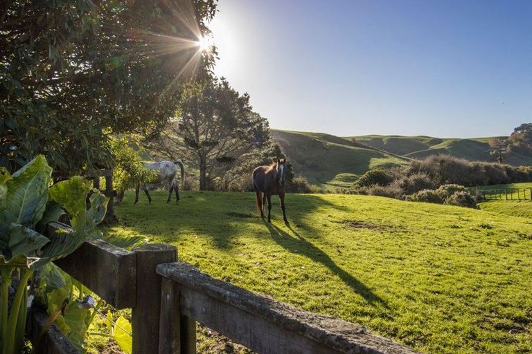 Photo of property in 217 Golden Valley Road, Waihi, 3681