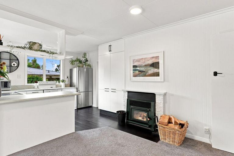 Photo of property in 203 Wakari Road, Helensburgh, Dunedin, 9010