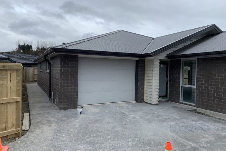 Photo of property in 119 Whakaturou Crescent, Pyes Pa, Tauranga, 3112
