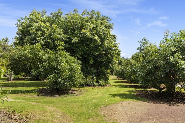 Photo of property in 311 Pahoia Road, Whakamarama, Tauranga, 3172