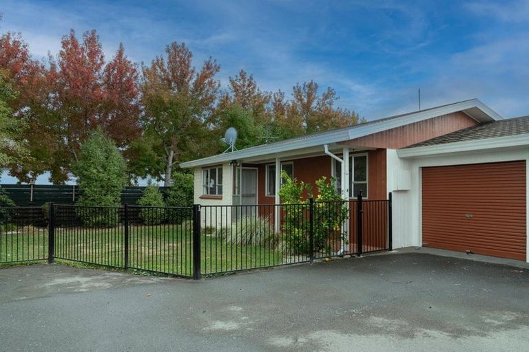 Photo of property in 3/23 Francis Street, Blenheim, 7201