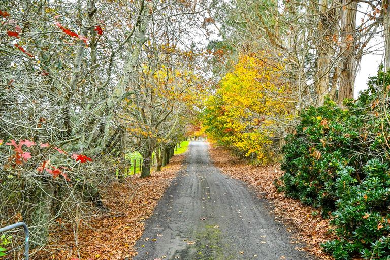 Photo of property in 48a Sinclair Road, Ararimu, Drury, 2579