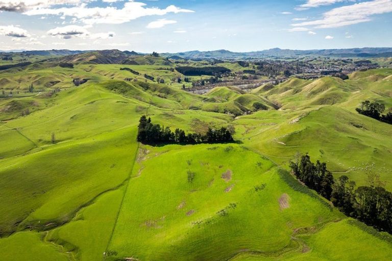 Photo of property in 210 Ongaonga Road, Waipawa, 4272