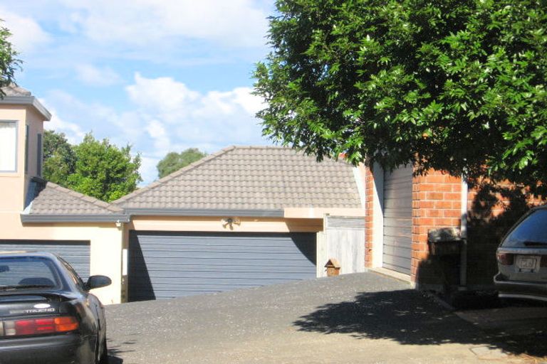 Photo of property in 6 Zamora Lane, Mount Roskill, Auckland, 1041