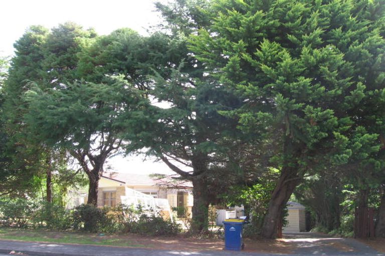Photo of property in 50 Verbena Road, Birkdale, Auckland, 0626