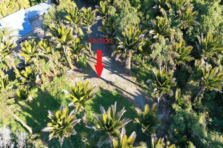 Photo of property in 4161 Coast Road, Punakaiki, 7873