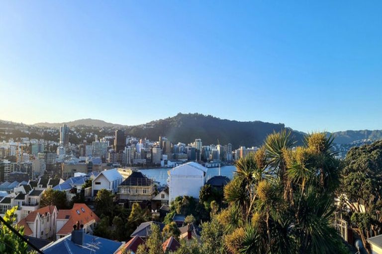 Photo of property in 7 Mcintyre Avenue, Mount Victoria, Wellington, 6011