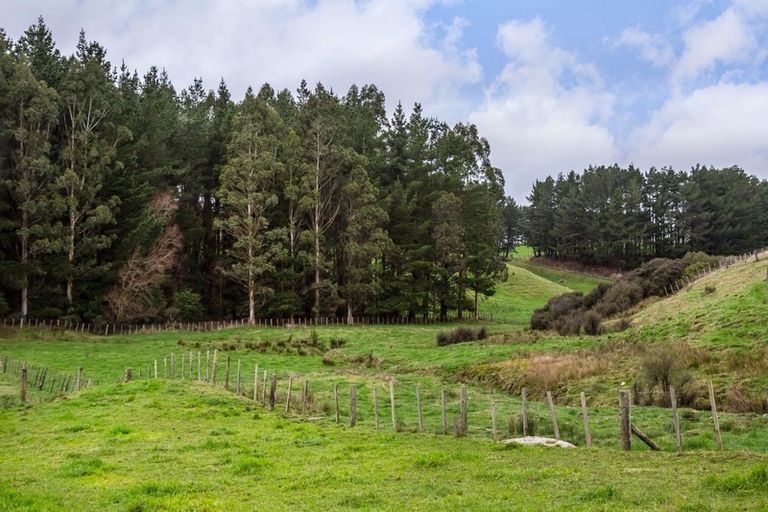 Photo of property in 4 Quarry Road, Eketahuna, 4994