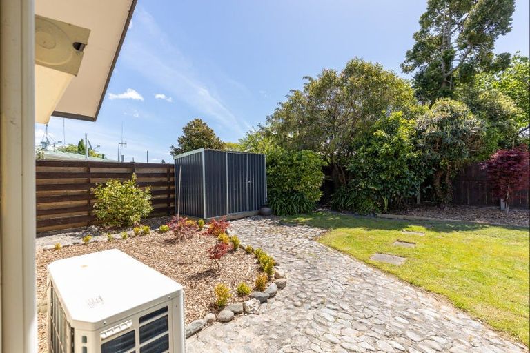 Photo of property in 17 Opawa Place, Terrace End, Palmerston North, 4410