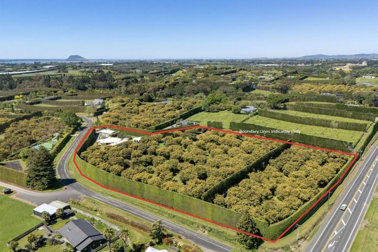 Photo of property in 22 Gill Lane, Te Puna, Tauranga, 3174