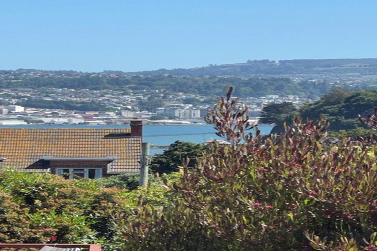 Photo of property in 45a Elliot Street, Andersons Bay, Dunedin, 9013