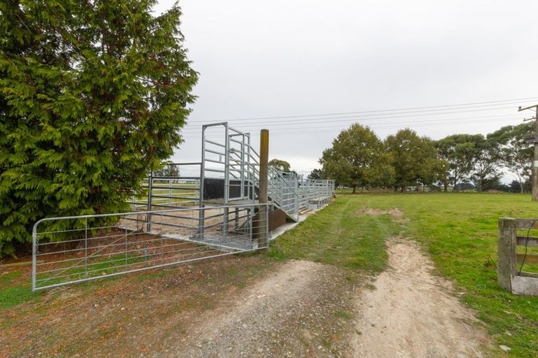 Photo of property in 335 Tutaki Road, Kelvin Grove, Palmerston North, 4470