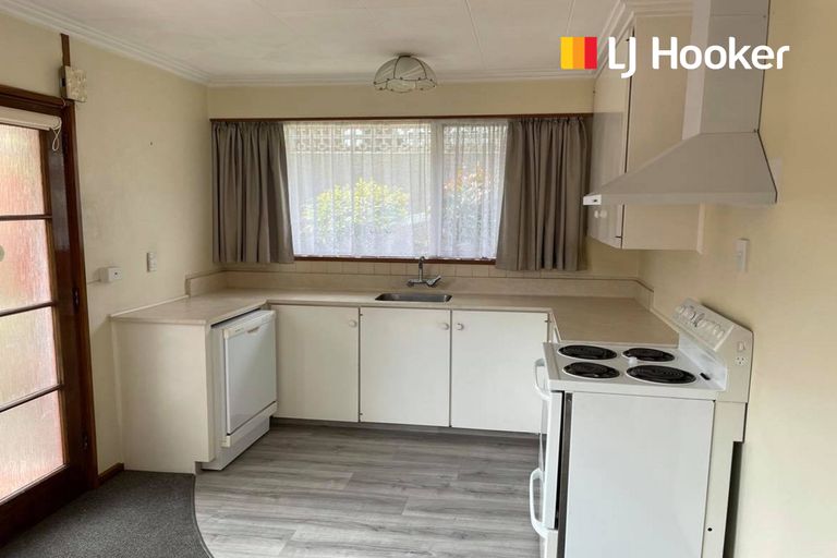 Photo of property in 7b Tyne Street, Roslyn, Dunedin, 9010