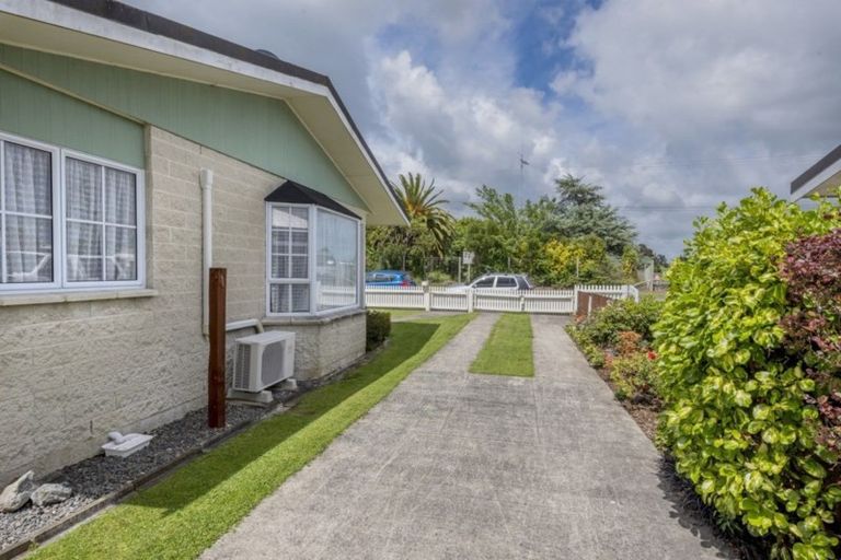 Photo of property in 73 Liverpool Street, Levin, 5510