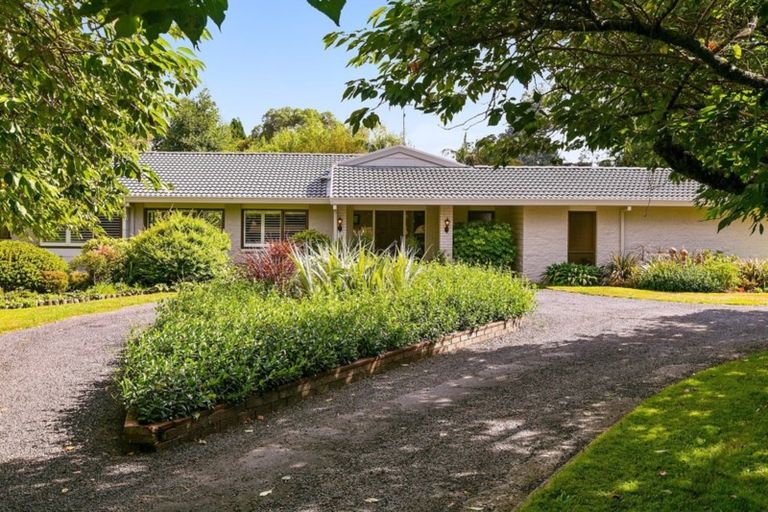 Photo of property in 854 No 1 Road, Te Puke, 3182