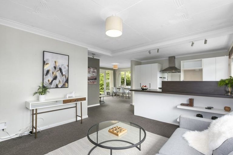 Photo of property in 24 Mitchell Avenue, Maryhill, Dunedin, 9011