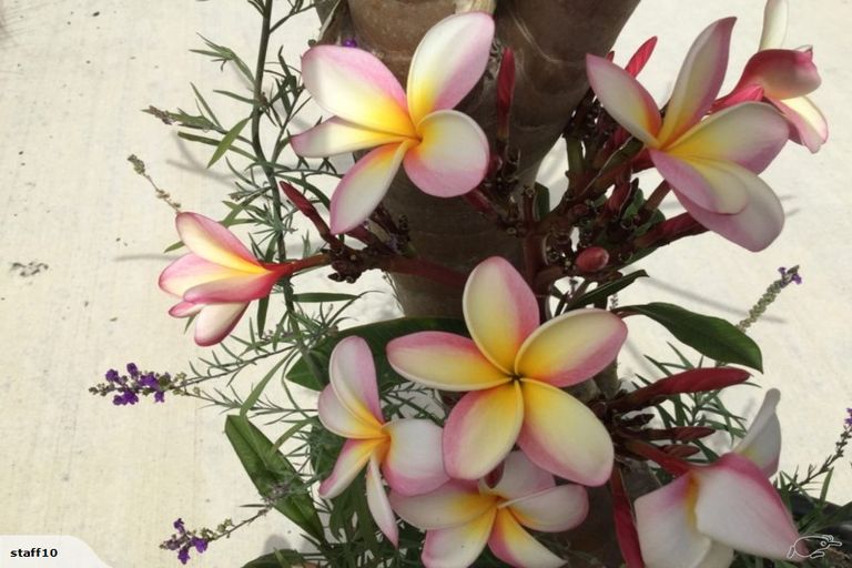 Photo of property in 12 O'farrell Drive, One Tree Point, 0118