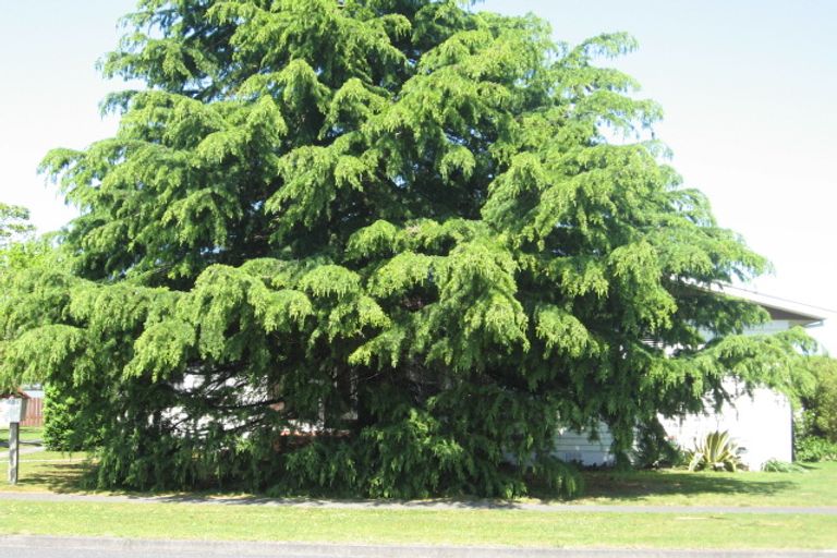 Photo of property in 1024 Aberdeen Road, Te Hapara, Gisborne, 4010