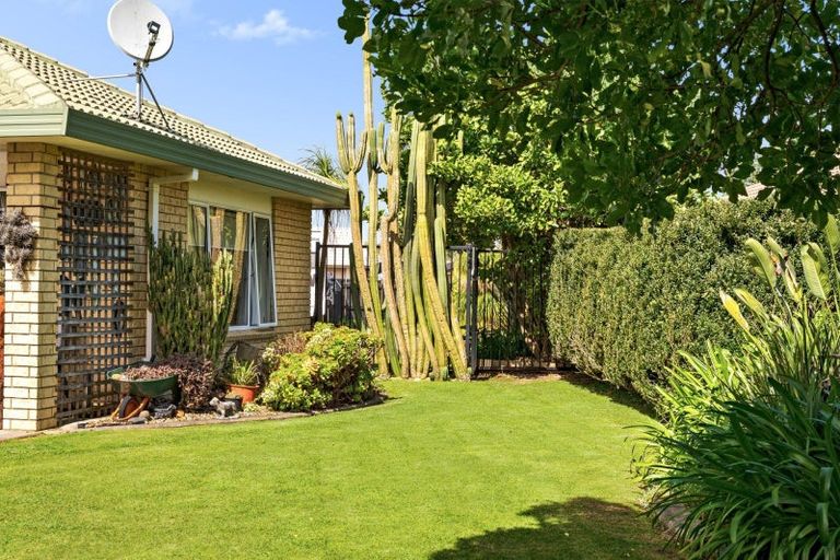 Photo of property in 17 Appaloosa Place, Papamoa Beach, Papamoa, 3118