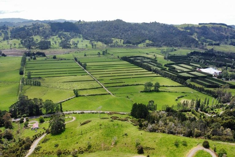 Photo of property in 1579 Tairua Whitianga Road, Whenuakite, Whitianga, 3591