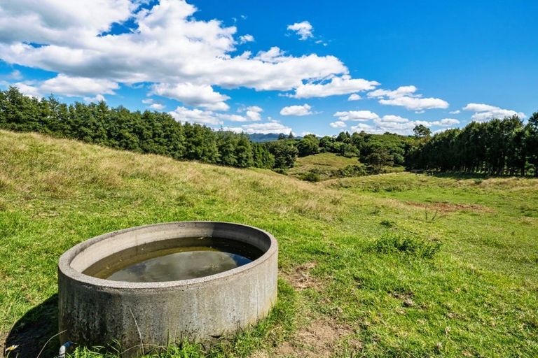 Photo of property in 8 Pine Ridge Lane, Aongatete, Katikati, 3181