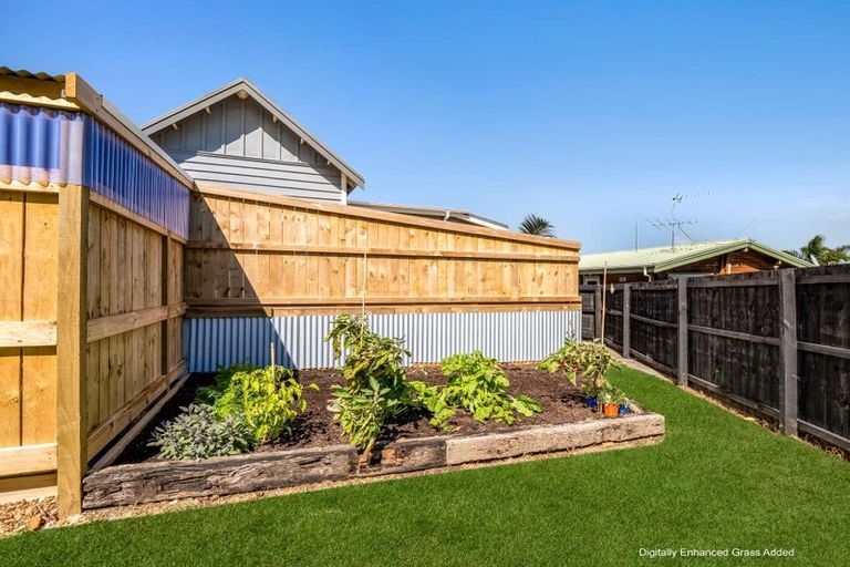 Photo of property in 62 Prospect Terrace, Pukekohe, 2120