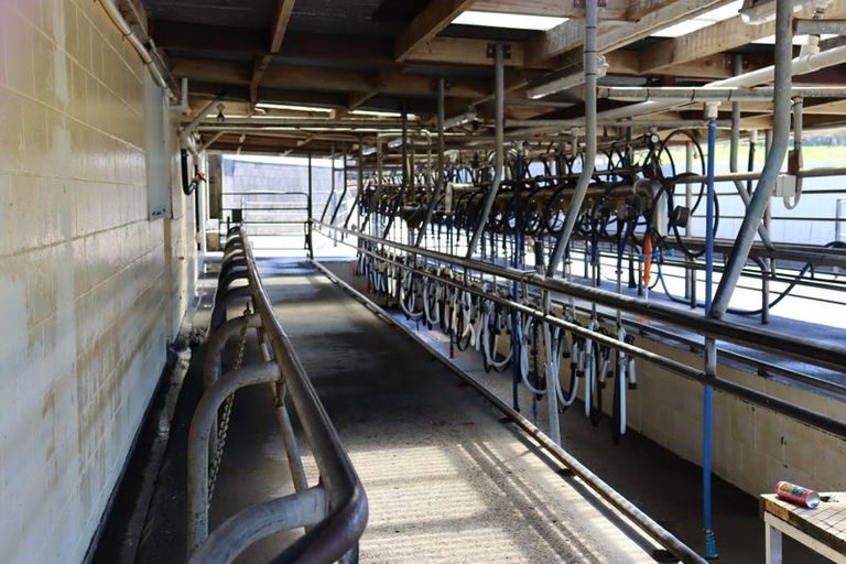 Photo of property in 1234 Richmond Road, Everett Park, Inglewood, 4389