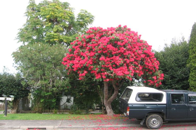 Photo of property in 36 Robins Road, Judea, Tauranga, 3110