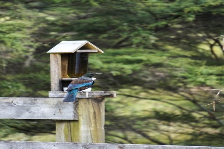 Photo of property in 561b Waingaro Road, Ngaruawahia, 3793