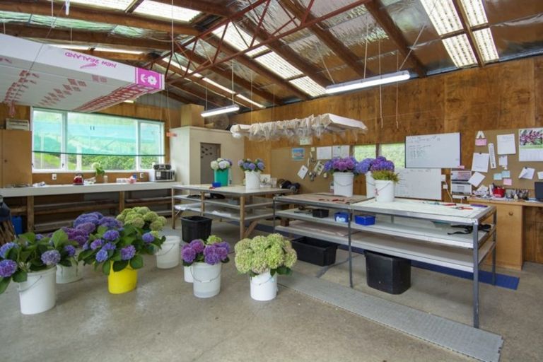 Photo of property in 261 Pahoia Road, Whakamarama, Tauranga, 3172