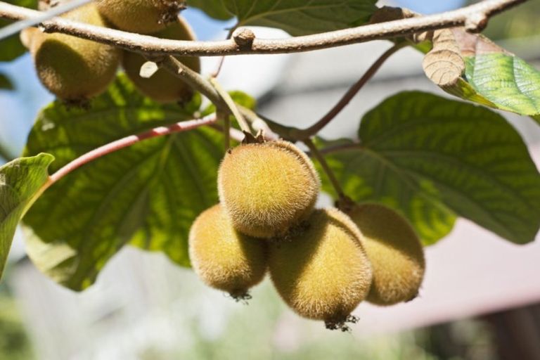 Photo of property in 45 Aucks Road, Russell, 0272