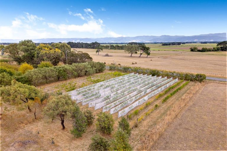 Photo of property in 105 Te Maire Road, Kahutara, Featherston, 5771