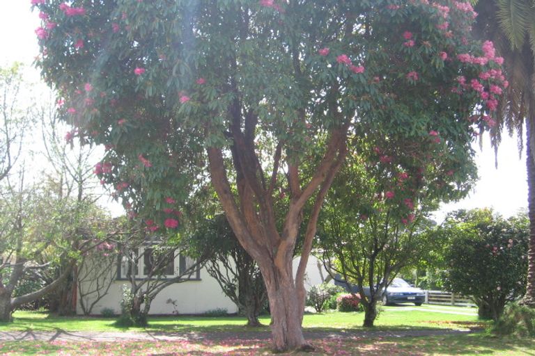 Photo of property in 40-40a Lynmore Avenue, Lynmore, Rotorua, 3010