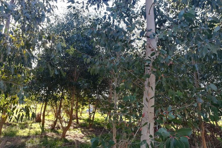 Photo of property in 437 Okirae Road, Mangamahu, Wanganui, 4577