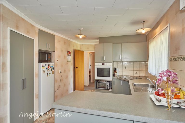 Photo of property in 41 Humphries Place, Awapuni, Palmerston North, 4412