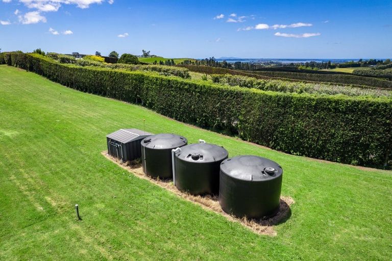 Photo of property in 54 Sinclair Road, Whakamarama, Tauranga, 3179