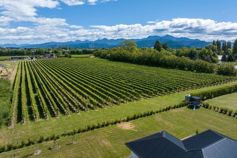 Photo of property in 5 Brook Street, Renwick, 7204