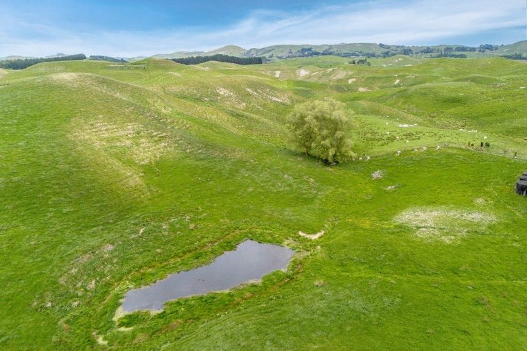 Photo of property in 209 Pattison Road, Akina, Hastings, 4122