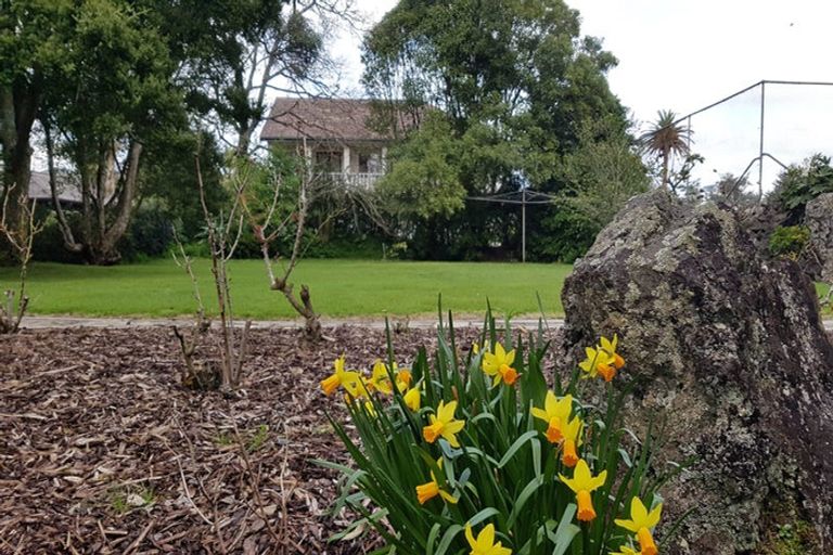 Photo of property in 68 Epsom Avenue, Epsom, Auckland, 1023