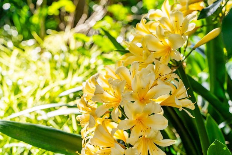 Photo of property in 22 Batten Street, Wellsford, 0900